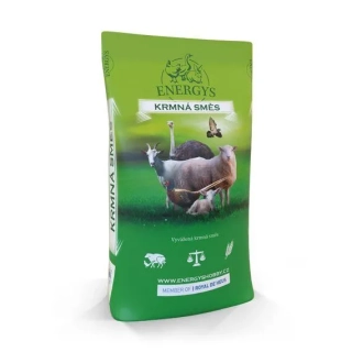 Grnule pro holuby HOLUB PREMIUM 10 kg