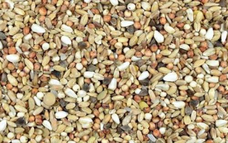 Dieta speciál  DS+ -25 kg KAMPOL