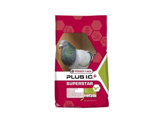 SUPERSTAR Plus I.C.  20 kg  Varsele-Laga