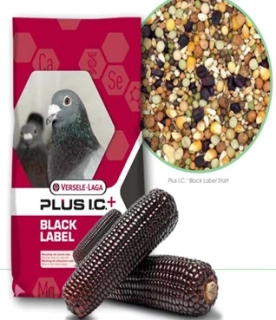 SUPERSTAR PlusI.C. Black Label  20 kg